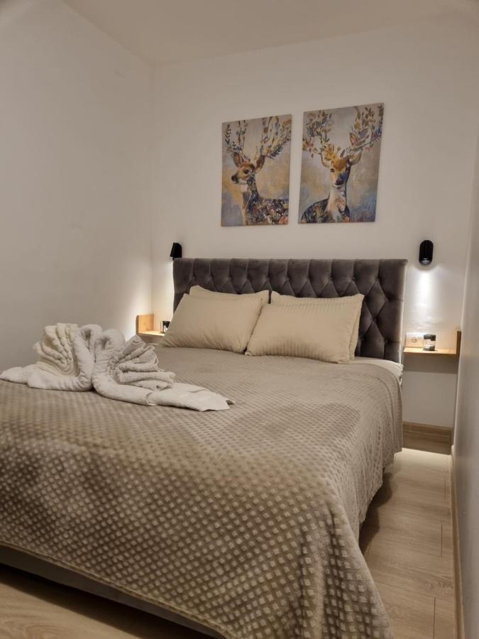 Zlatar Holidays Apartmani Нова-Варош Экстерьер фото