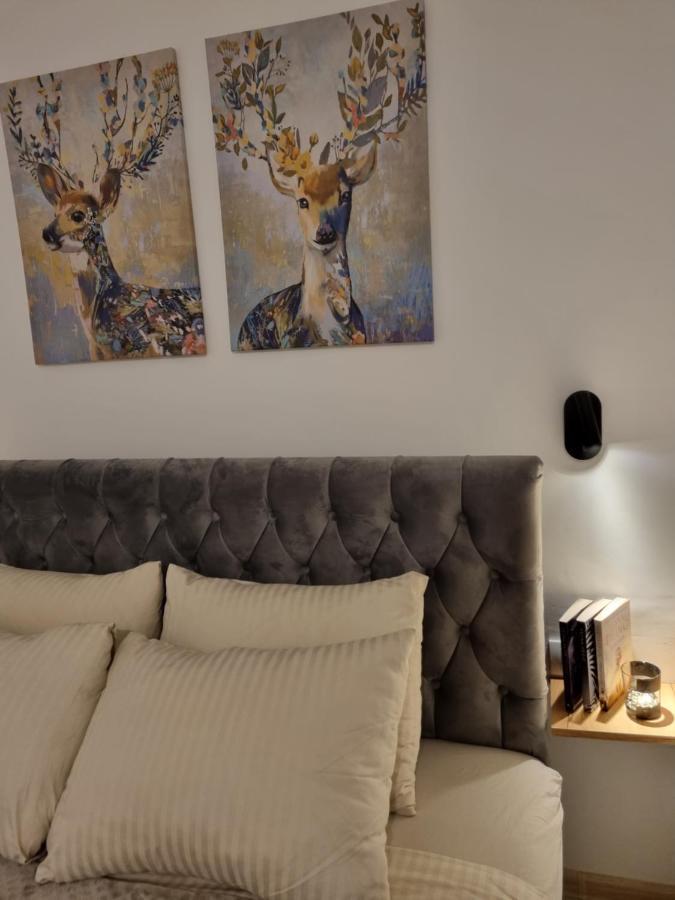 Zlatar Holidays Apartmani Нова-Варош Экстерьер фото