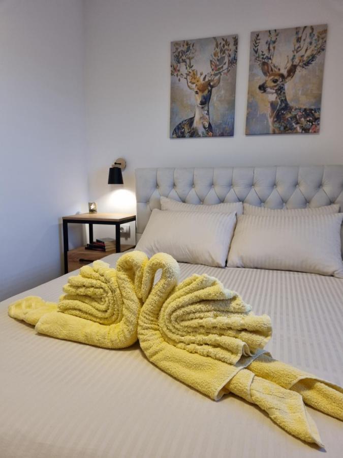 Zlatar Holidays Apartmani Нова-Варош Экстерьер фото